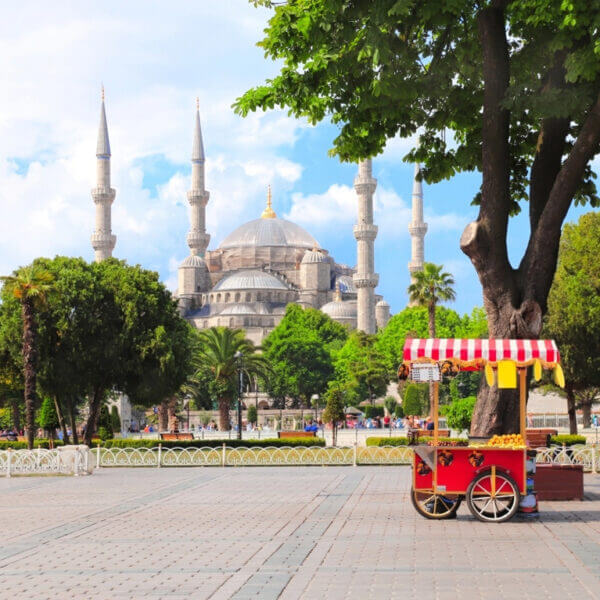 Blue Mosque