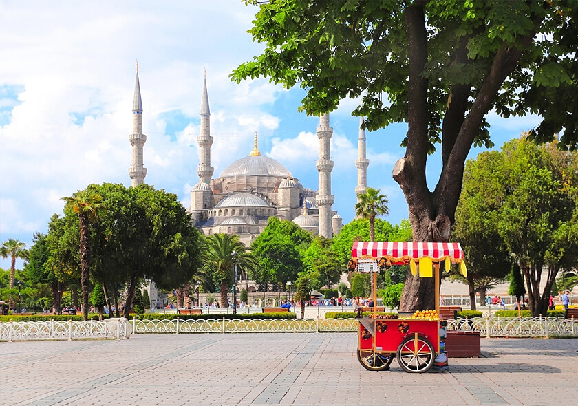 Daily Half Day Istanbul City Tour